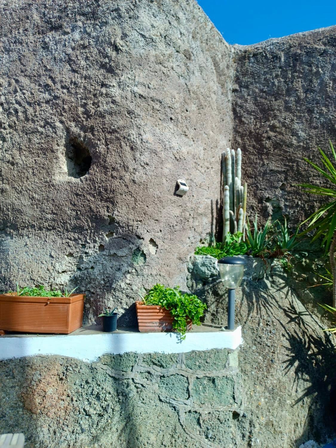 Casa Delle Rose Apartment Ischia Exterior foto